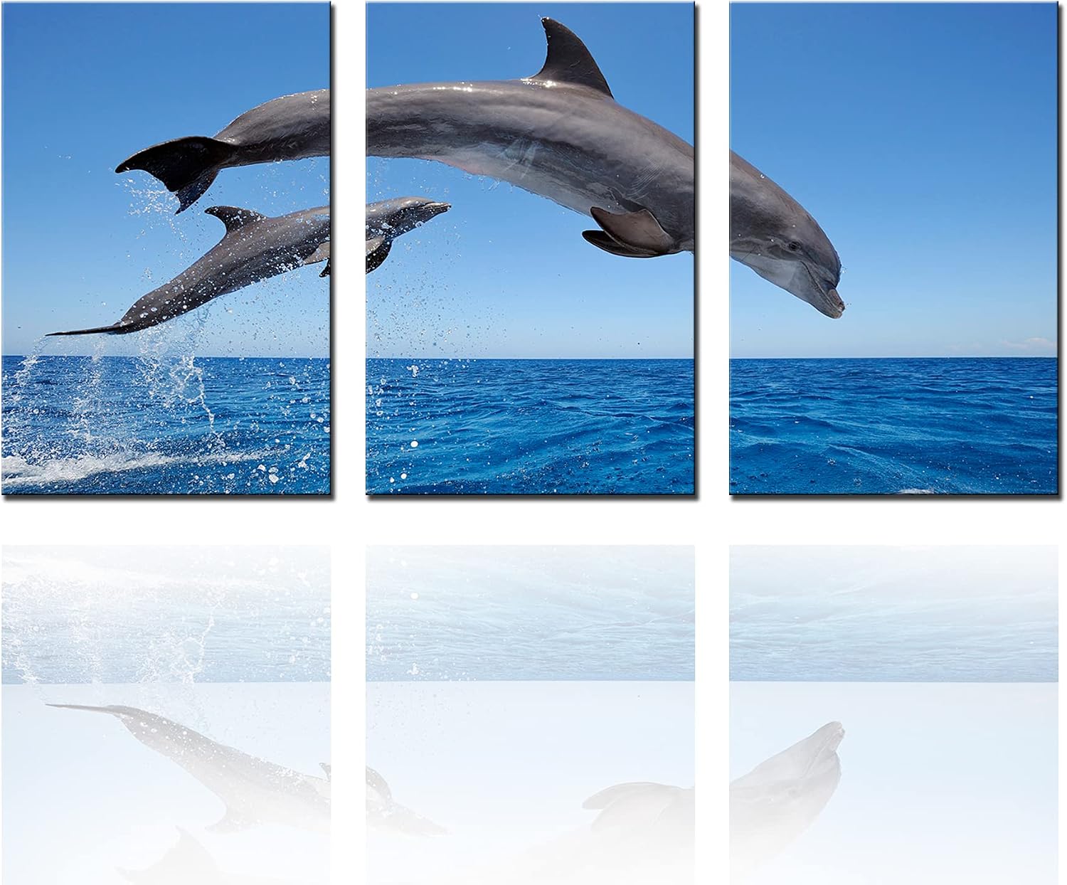 Amazon Co Jp Tucocoo かわいいイルカジャンプイルカ海洋生物 Dolphin 壁画キャンバス絵画油絵アートパネルボトルノーズイルカ 笑顔イルカ海の風景青い海のポスター壁に取り付けられた部屋の装飾オフィスの入り口リビングルームソファベッドルーム自然の風景サイレント